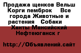 Продажа щенков Вельш Корги пемброк  - Все города Животные и растения » Собаки   . Ханты-Мансийский,Нефтеюганск г.